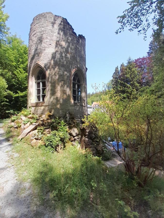 ローゼンタール＝ビーラタール Rapunzel Trifft Dornroeschenヴィラ エクステリア 写真